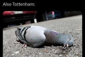 今日趣图：我花了零秒钟就猜出西蒙尼次回合的阵型，你也来试试吧