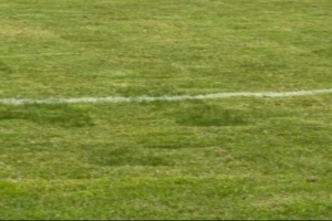 京媒：浙江队主帅阿洛伊西吐槽主场草皮，眼见为实确实不太理想