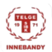 特尔赫女篮标志