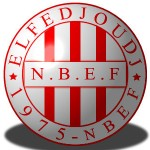 纳萨费德祖杰标志