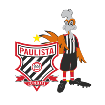 圣保罗市青年队标志