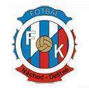 纳查德德斯特恩标志