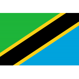 坦桑尼亚女足标志