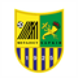 梅塔利斯特标志