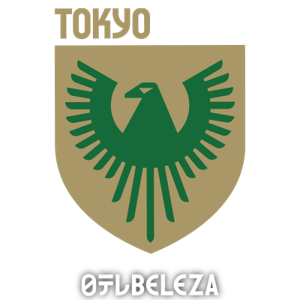 日视美人女足标志