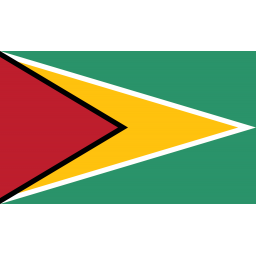 圭亚那女足标志