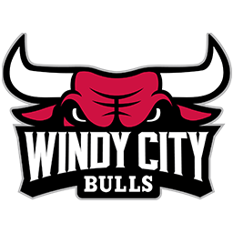 风城公牛标志