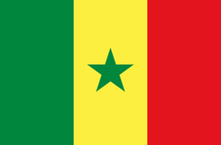 塞内加尔女篮标志