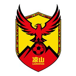 凉山队标志