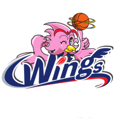 爱信飞翼女篮标志