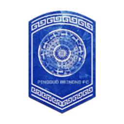 广西平果呗侬女足标志