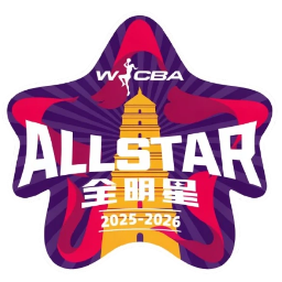 南区星锐队标志