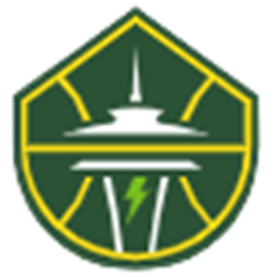 西雅图风暴标志