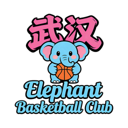 武汉大象篮球标志