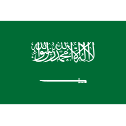 沙特U17标志