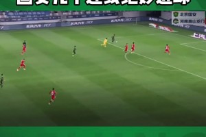 国安官博：张稀哲和张玉宁曾把丁丁魔人配合带到中超赛场