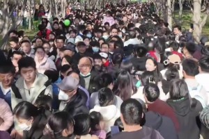 陈蒲济南百花公园“遛娃”被偶遇